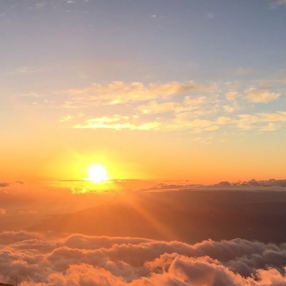 Meet your Posher, Summer